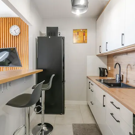 Park Slaski Charming Apartment Katowice